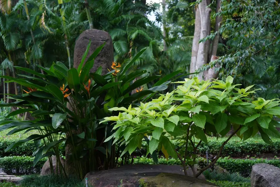 Greens & Outdoors at KALPATARU ONE, Worli, Mumbai