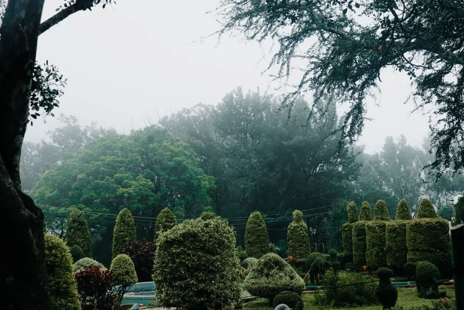 Greens & Outdoors at KALPATARU VERBINA, Poonam Nagar, Jogeshwari East, Mumbai