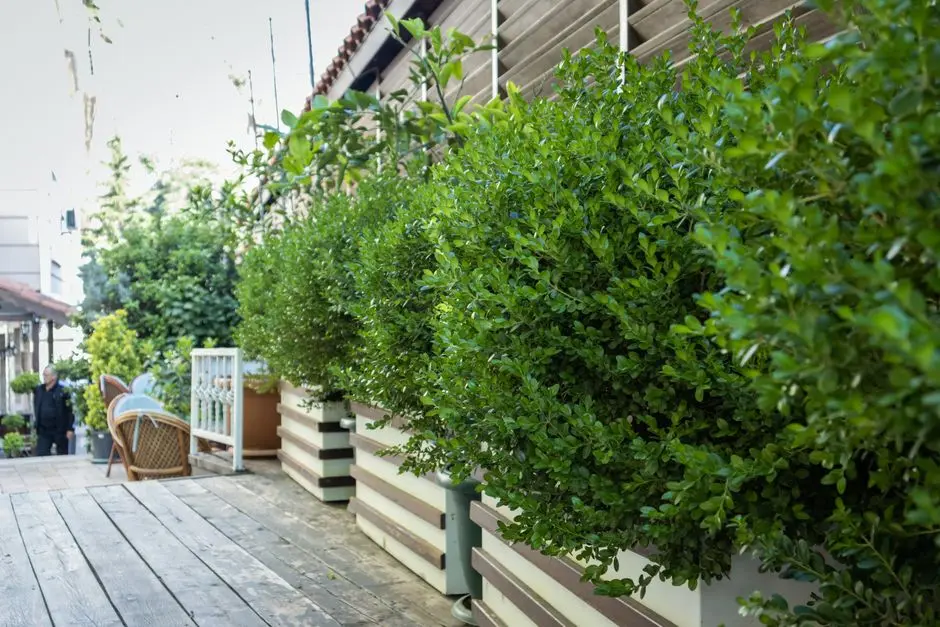 Greens & Outdoors at KALPATARU VIENTA, Ashok Nagar, Kandivali East, Mumbai