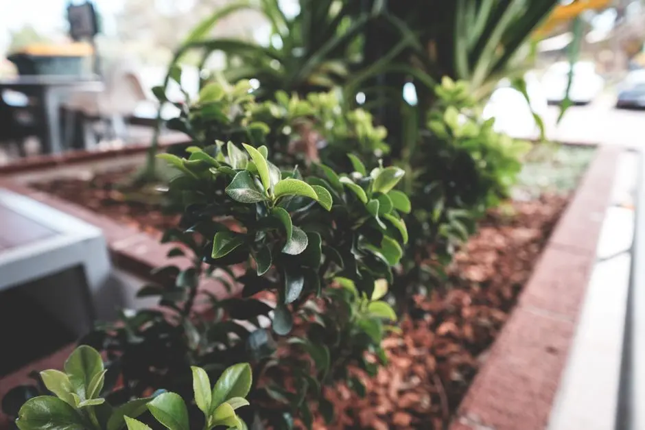 Greens & Outdoors at KALPATARU JADE SKYLINE, Baner, Pune
