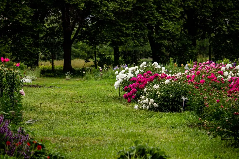 Greens & Outdoors at KALPATARU ASHOKGRAM CLUSTER, Ashok Nagar, Mumbai
