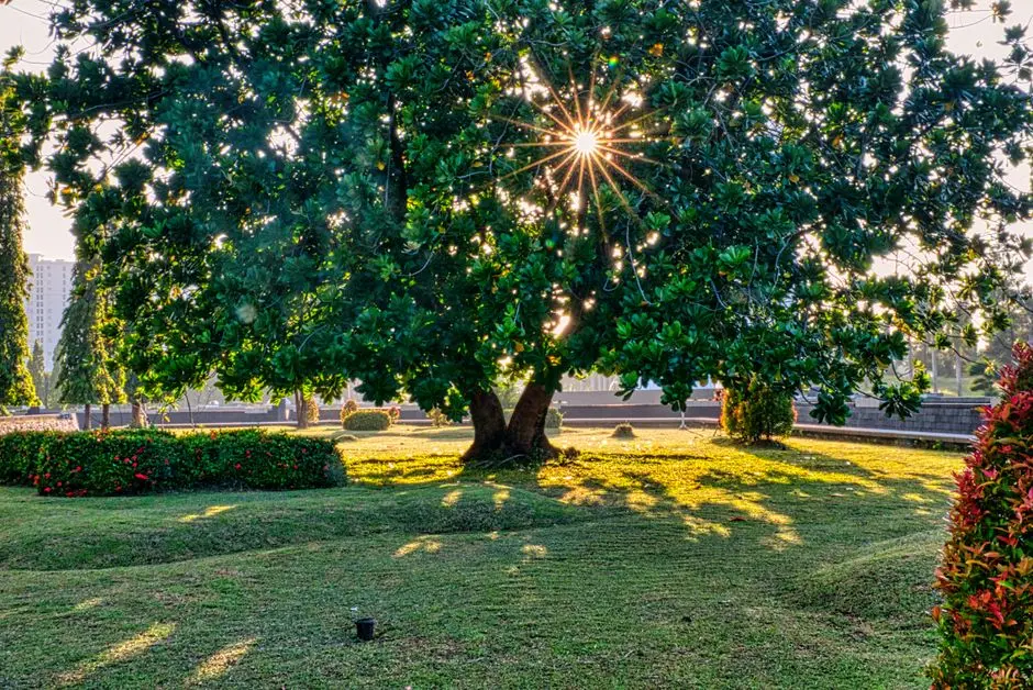 Greens & Outdoors at KALPATARU PRIMERA, Kalpataru Parkcity, Thane