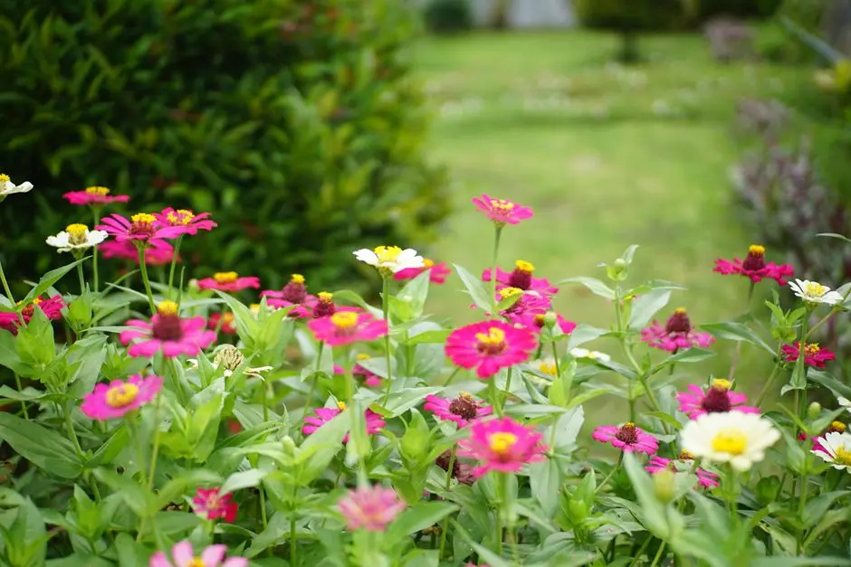 Greens & Outdoors at KALPATARU RADIANCE, Goregaon West, Mumbai
