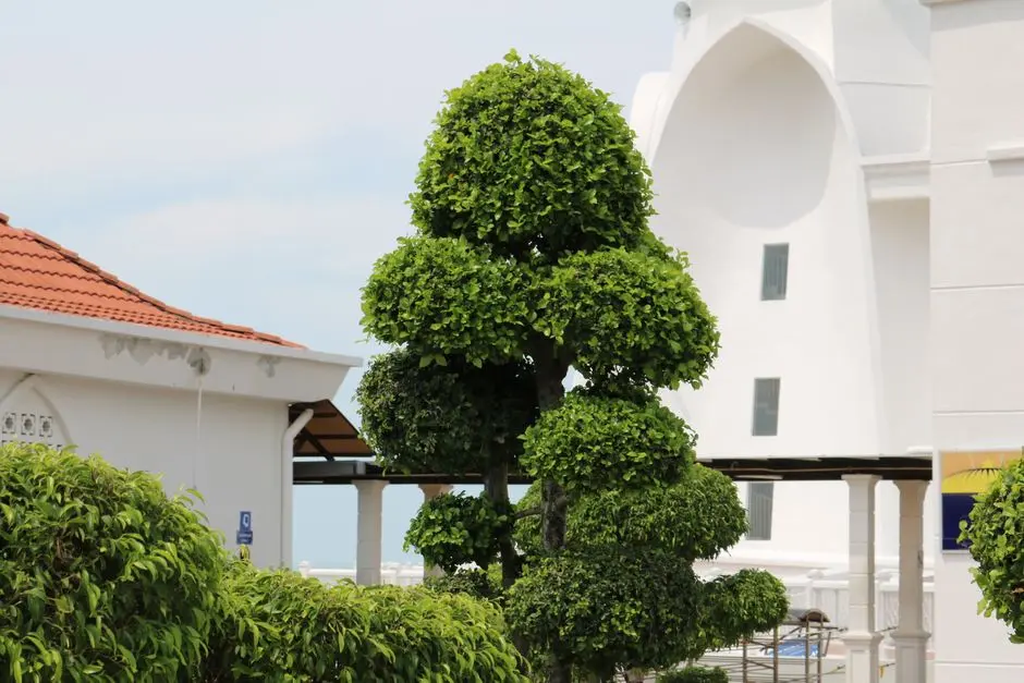 Greens & Outdoors at KALPATARU ELEGANTE, Kandivali East, Mumbai
