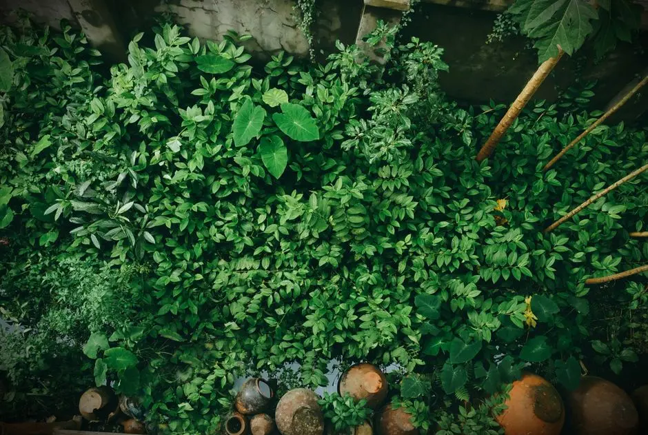 Greens & Outdoors at KALPATARU WOODSVILLE, Chandivali, Mumbai