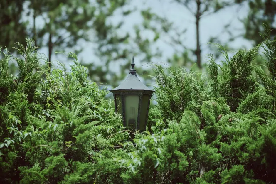 Greens & Outdoors at KALPATARU SERENITY, Manjri, Pune