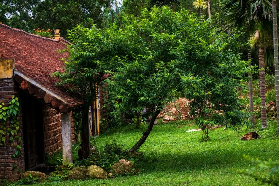 Greens & Outdoors at KALPATARU CREST, Bhandup West, Mumbai