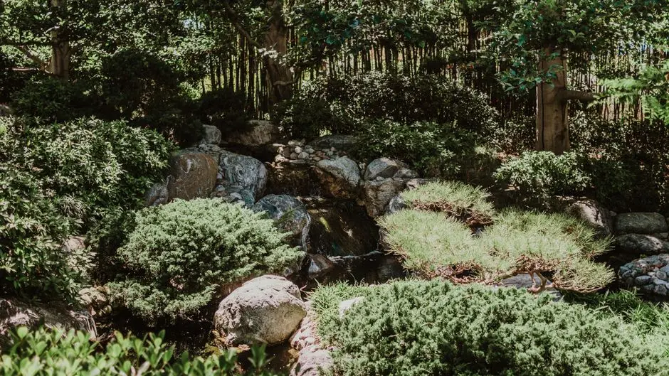 Greens & Outdoors at KALPATARU HRUSHIKESH LOKHANDWALA, Swami Samarth Nagar, Mumbai
