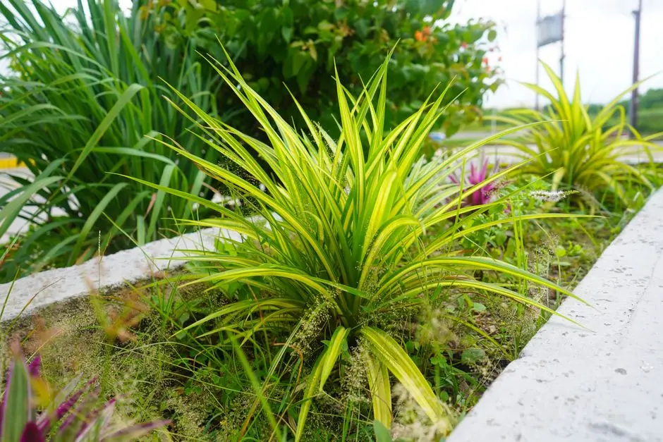 Greens & Outdoors at KALPATARU PARKCITY, Kolshet Road, Thane
